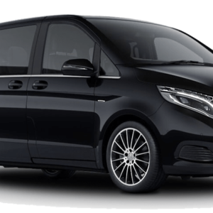 Mercedes Viano